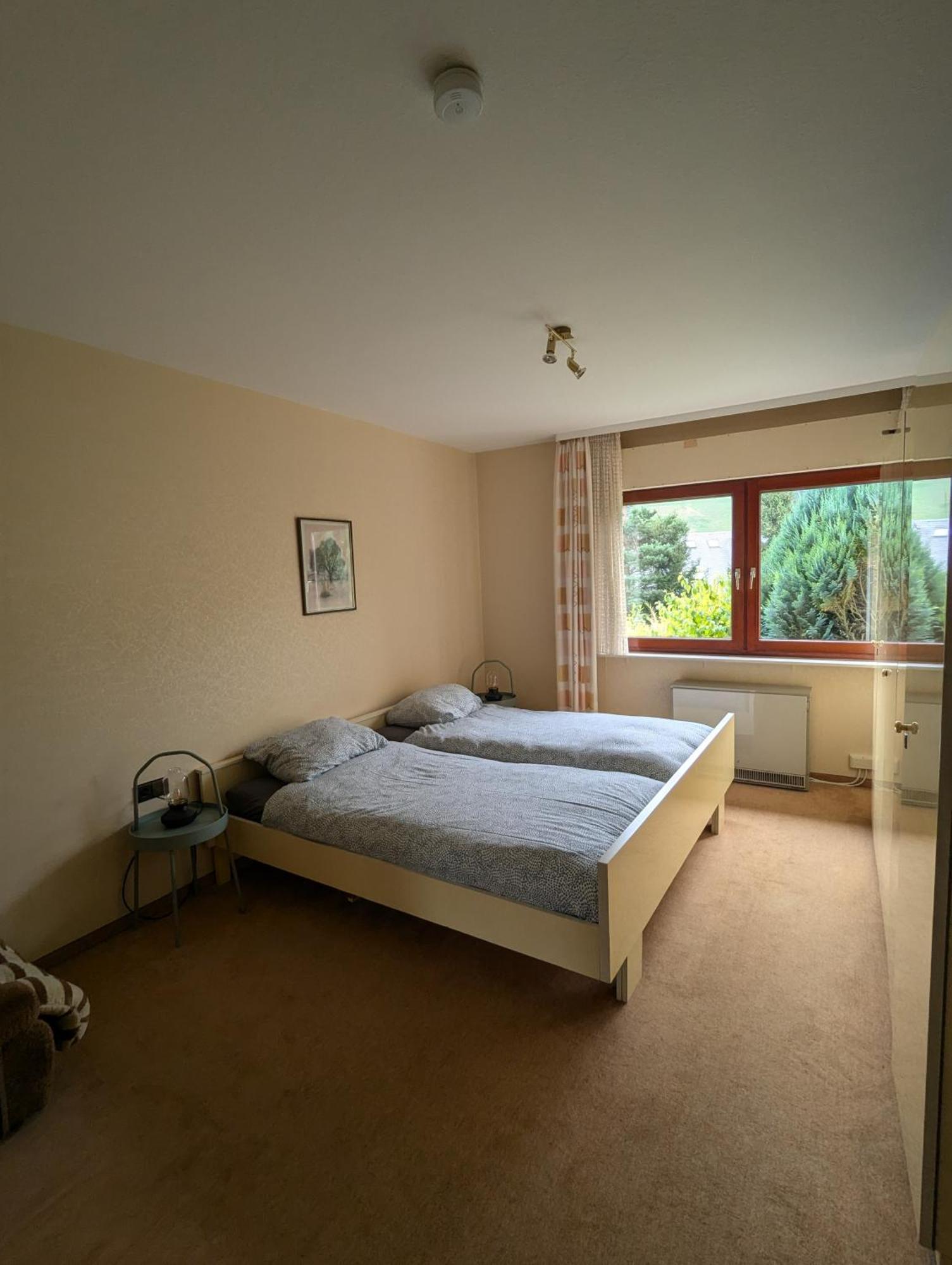 Haus Hannelore Willingen  Extérieur photo